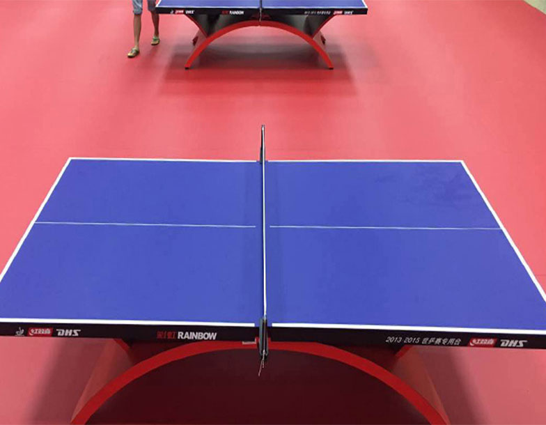 Table tennis Court